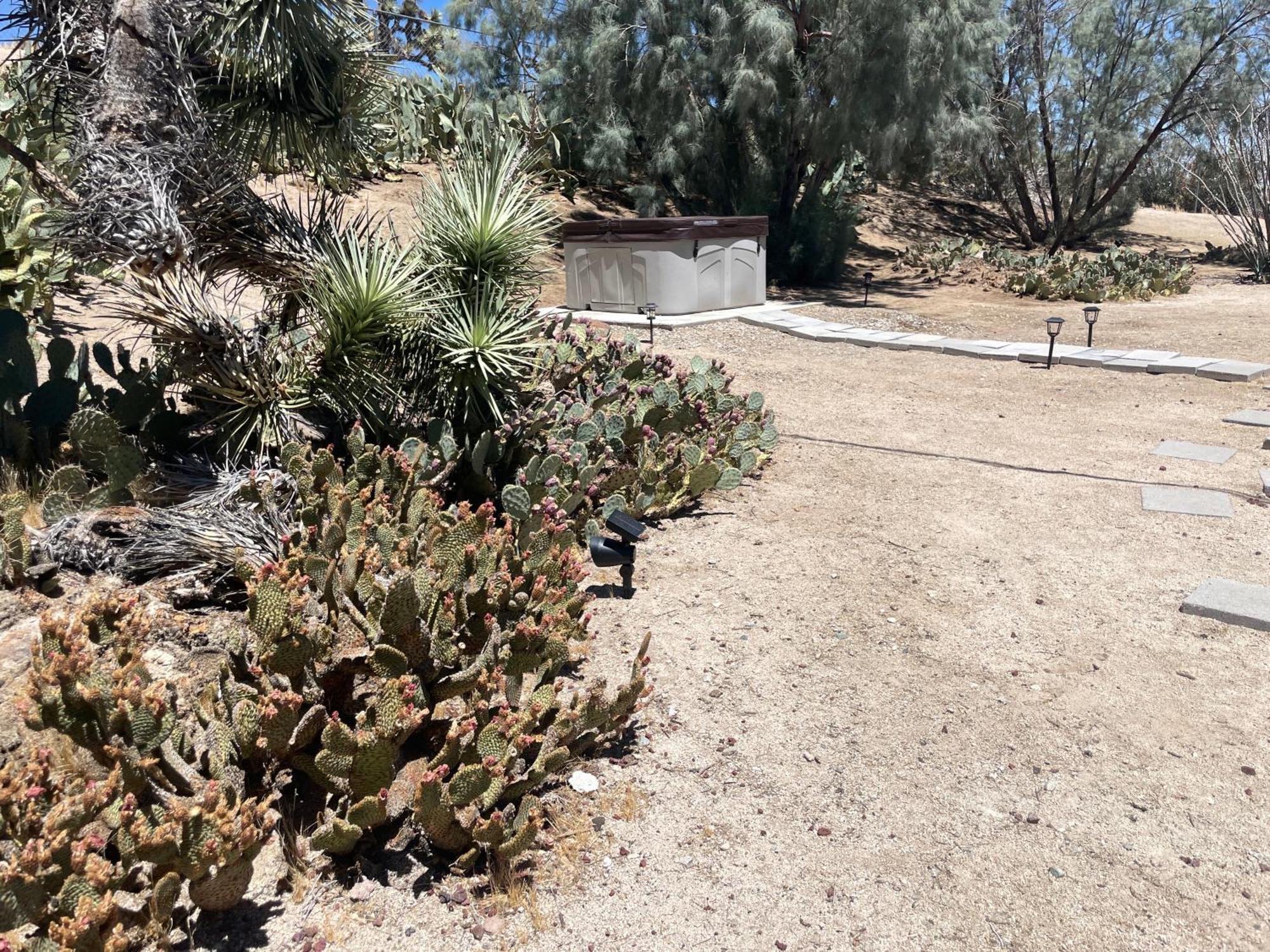 יוקה ואלי Mojave Desert Pied-A-Terre מראה חיצוני תמונה